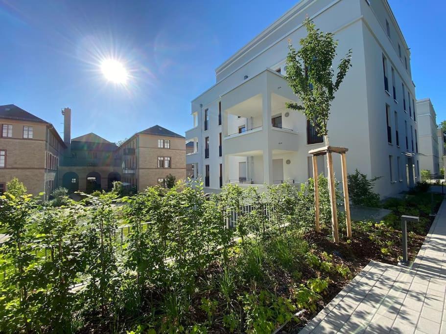 Acapella Suite Adagio 54Qm, Direkt Am Weinberg, Altstadt, Netflix Inklusive Heppenheim  Eksteriør billede