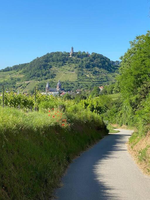 Acapella Suite Adagio 54Qm, Direkt Am Weinberg, Altstadt, Netflix Inklusive Heppenheim  Eksteriør billede